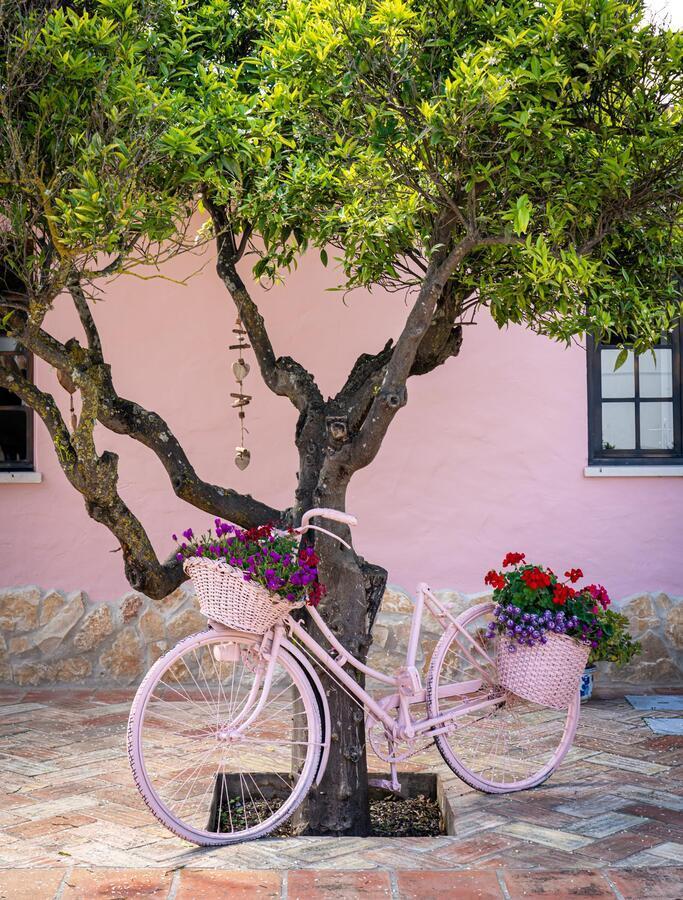 Quinta Aida Cottage And B&B Suites Lagoa  Extérieur photo