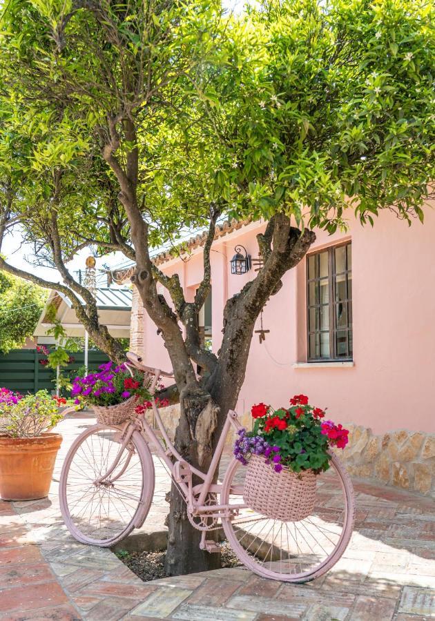 Quinta Aida Cottage And B&B Suites Lagoa  Extérieur photo